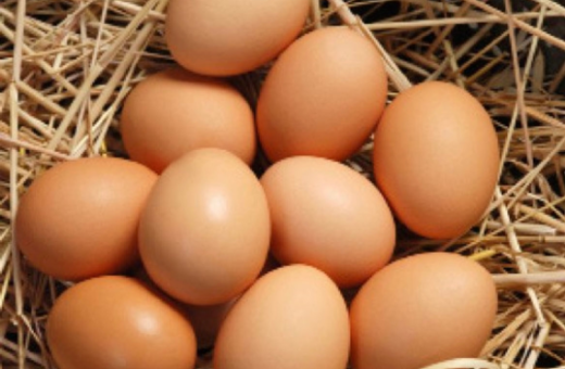 Organic, Pastured, Unwashed Eggs