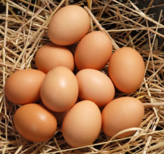 Organic Eggs