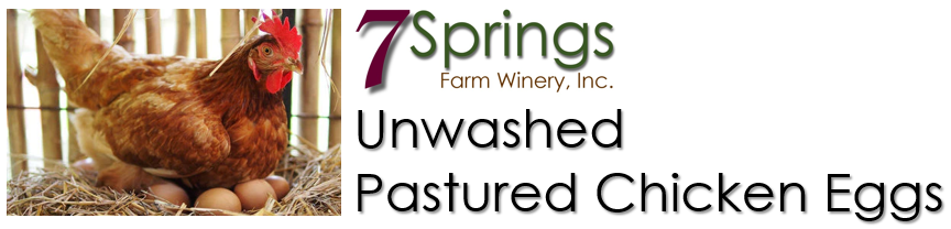 Product Page Banner Image