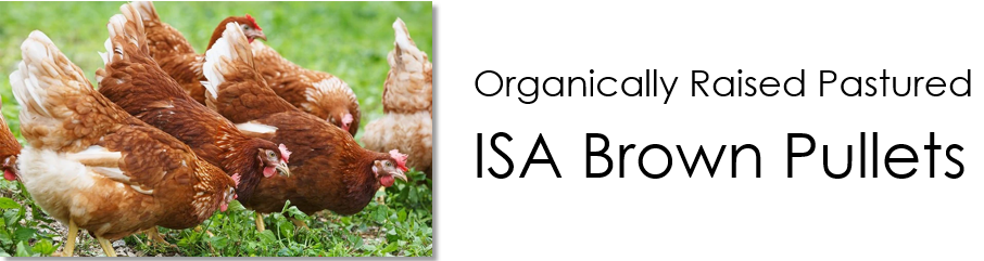 Product Page Banner Image