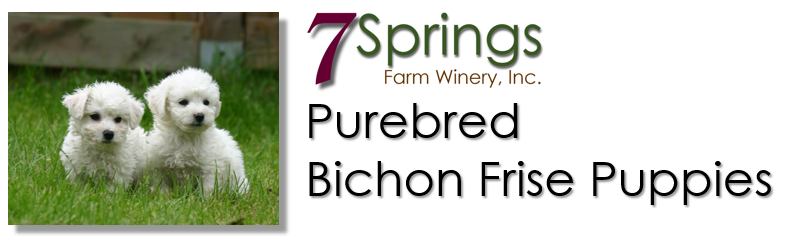 Product Page Banner Image